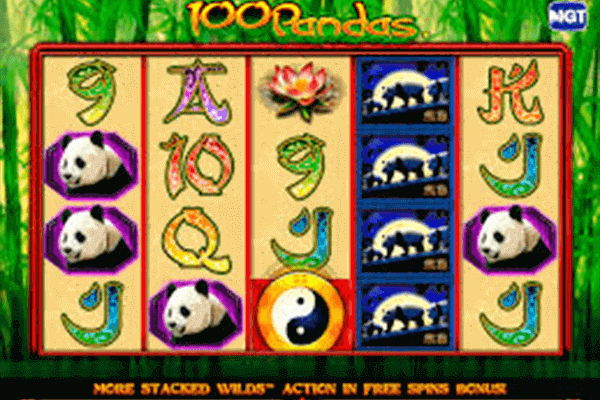 100 Pandas tragamonedas