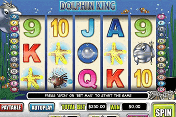 slot Dolphin King